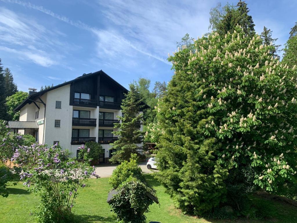 Landhaus Am Forst Bad Alexandersbad Exterior foto